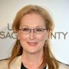 Meryl Streep lors de la première du film "Un été à Osage County" à l'UGC Normandie à Paris, le 13 février 2014.
