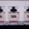 Lancement du parfum Karl Lagerfeld au Palais Brongniart à Paris, le 11 mars 2014.