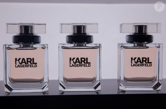 Lancement du parfum Karl Lagerfeld au Palais Brongniart à Paris, le 11 mars 2014.