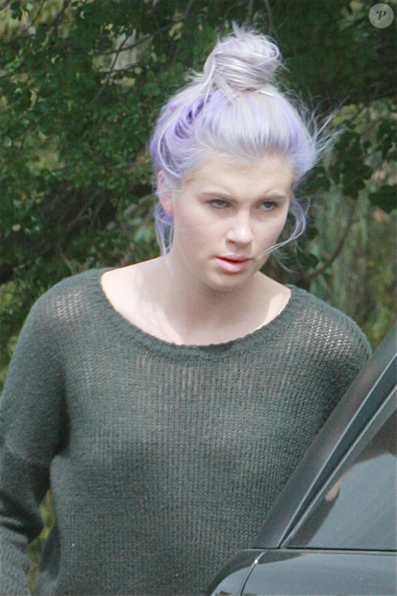 Exclusif - Ireland Baldwin va déjeuner avec une amie à Calabasas, le 11 mars 2014.