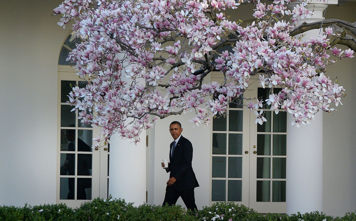 Photo : Barack Obama de retour à la Maison Blanche à Washington après ...