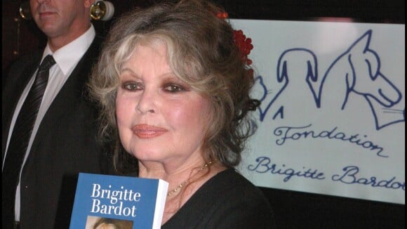 Brigitte Bardot : A l'aube de ses 80 ans, elle est arrière-grand-mère