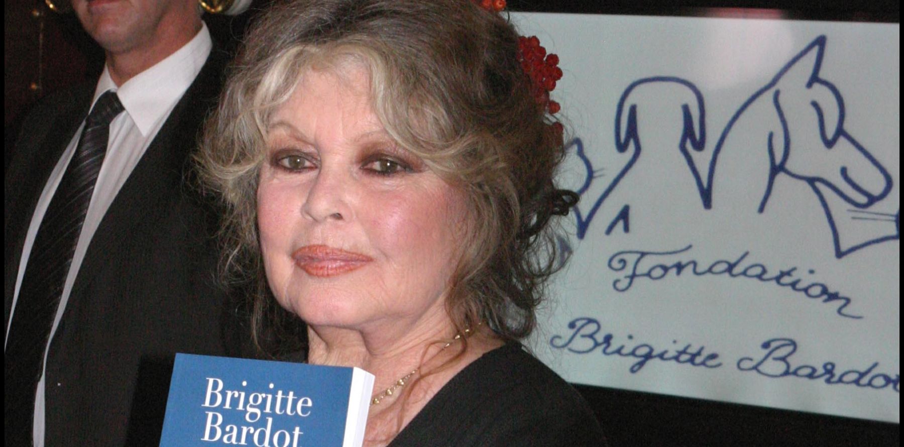 Brigitte Bardot : A L'aube De Ses 80 Ans, Elle Est Arrière-grand-mère ...