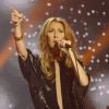 Concert de la chanteuse Céline Dion au Palais Omnisports de Paris-Bercy, le 5 décembre 2013.