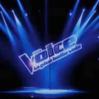 The Voice 3 : 4 Talents, 1 seul gagnant... Une finale de haut vol se profile !