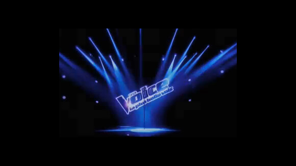 The Voice 3 : 4 Talents, 1 seul gagnant... Une finale de haut vol se profile !