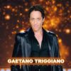 Gaetano Triggiano (The Best, la finale - émission diffusée le vendredi 16 mai 2014.)