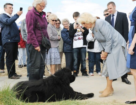 Camilla Parker Bowles, la duchesse de Cornouailles visite le centre Juno Beach, le 5 juin 2014, dans le cadre des commémorations du 70ème anniversaire du débarquement.  5th June, 2014: The Duchess of Cornwall visiting Juno Beach.05/06/2014 - Juno Beach