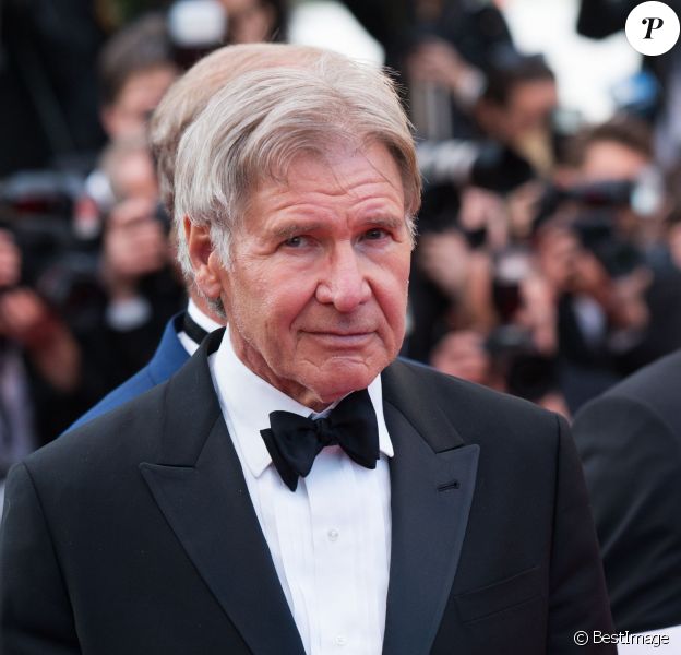 Harrison Ford - Montée des marches du film "The Homesman" lors du 67e Festival du film de Cannes, le 18 mai 2014.