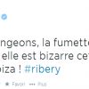 Estelle Denis s'en prend à Franck Ribéry dans une série de tweets lâchés le 19 juin 2014