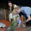 Le prince George de Cambridge l'air désabusé devant le repas d'un bilby au zoo de Taronga, le 21 avril 2014 à Sydney. Le fils du prince William et de Kate Middleton a eu 1 an le 22 juillet 2014.