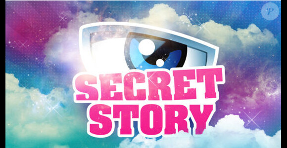 Secret Story 8, sur TF1.