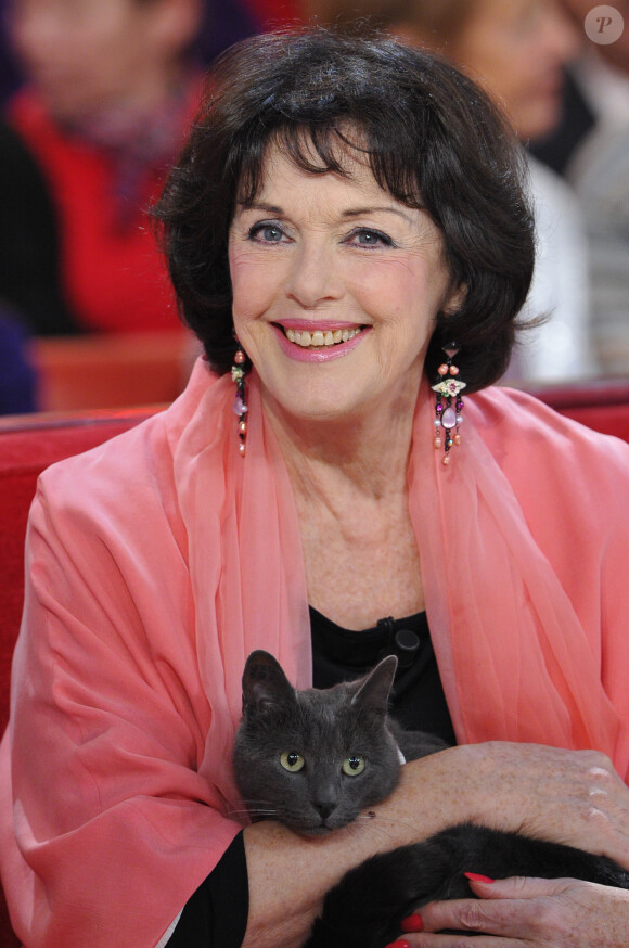Anny Duperey et son chat lors de l'enregistrement de l'émission "Vivement dimanche" le 11 décembre 2012.