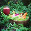 Gisele Bündchen sait s'occuper de son corps, même en vacances ! Le top se concocte des jus de fruits et légumes frais !