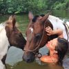 Gisele Bündchen en vacances au Costa Rica, lors d'un bain avec... des chevaux