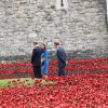 Kate Middleton, le prince William et le prince Harry, accompagnés par le général Lord Dannatt, constable de la Tour de Londres, ont découvert le 5 août 2014 l'installation "Terres recouvertes de sang et mers de rouge" créée dans le cadre du centenaire de la Première Guerre mondiale. Tous trois ont contribué à l'oeuvre de l'artiste Paul Cummins et du designer Tom Piper en plantant un coquelicot en céramique. Au total, ce sont 888 246 fleurs factices, pour autant de soldats britanniques et du Commonwealth tués lors de la Grande Guerre, qui seront plantées en vue du 11 novembre, annniversaire de l'Armistice.