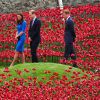Kate Middleton, le prince William, duc et duchesse de Cambridge, et le prince Harry, accompagnés par le général Lord Dannatt, constable de la Tour de Londres, ont découvert le 5 août 2014 l'installation "Terres recouvertes de sang et mers de rouge" créée dans le cadre du centenaire de la Première Guerre mondiale. Tous trois ont contribué à l'oeuvre de l'artiste Paul Cummins et du designer Tom Piper en plantant un coquelicot en céramique. Au total, ce sont 888 246 fleurs factices, pour autant de soldats britanniques et du Commonwealth tués lors de la Grande Guerre, qui seront plantées en vue du 11 novembre, annniversaire de l'Armistice.