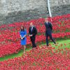 Kate Middleton, le prince William, duc et duchesse de Cambridge, et le prince Harry, accompagnés par le général Lord Dannatt, constable de la Tour de Londres, ont découvert le 5 août 2014 l'installation "Terres recouvertes de sang et mers de rouge" créée dans le cadre du centenaire de la Première Guerre mondiale. Tous trois ont contribué à l'oeuvre de l'artiste Paul Cummins et du designer Tom Piper en plantant un coquelicot en céramique. Au total, ce sont 888 246 fleurs factices, pour autant de soldats britanniques et du Commonwealth tués lors de la Grande Guerre, qui seront plantées en vue du 11 novembre, annniversaire de l'Armistice.
