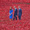 La duchesse Catherine de Cambridge, le prince William et le prince Harry, accompagnés par le général Lord Dannatt, constable de la Tour de Londres, ont découvert le 5 août 2014 l'installation "Terres recouvertes de sang et mers de rouge" créée dans le cadre du centenaire de la Première Guerre mondiale. Tous trois ont contribué à l'oeuvre de l'artiste Paul Cummins et du designer Tom Piper en plantant un coquelicot en céramique. Au total, ce sont 888 246 fleurs factices, pour autant de soldats britanniques et du Commonwealth tués lors de la Grande Guerre, qui seront plantées en vue du 11 novembre, annniversaire de l'Armistice.