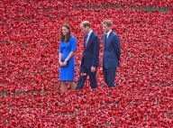Kate Middleton, William et Harry : Émotion et beauté dans une mer de coquelicots