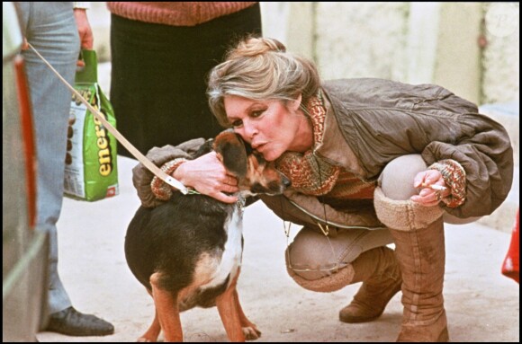 Brigitte Bardot et un chien (photo d'archive non datée)