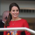  Kate Middleton, duchesse de Cambridge, enceinte de quatre mois, se mobilisait le 25 novembre 2014 à Norwich, dans le Norfolk, pour lancer une levée de fonds en vue de construire un nouvel hôpital pour enfants de l'organisme East Anglia Children's Hospices. 