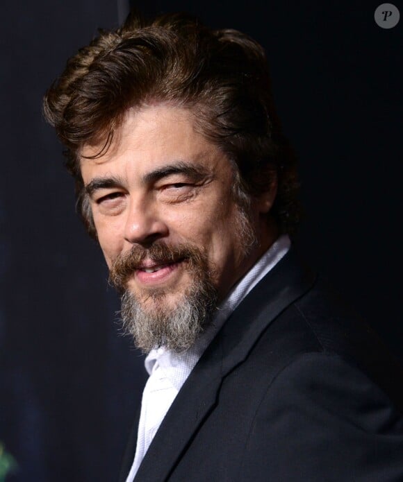 Benicio Del Toro - Première du film "Inherent Vice" à Hollywood le 10 décembre 2014.