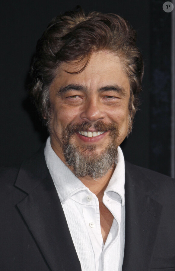 Benicio Del Toro - Première du film "Inherent Vice" à Hollywood le 10 décembre 2014.