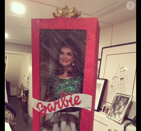 Brooke Shields, une poupée Barbie rien réelle, le 16 décembre 2014.