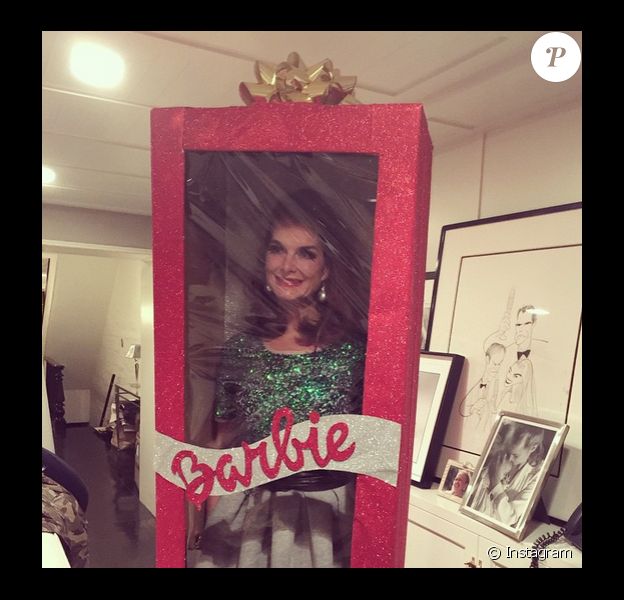 Brooke Shields, une poupée Barbie rien réelle, le 16 décembre 2014.