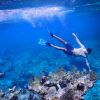 Plongée sous marine dans les îles Turques-et-Caïques. 