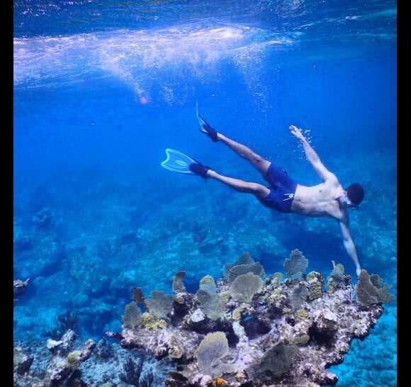 Plongée sous marine dans les îles Turques-et-Caïques. 