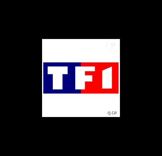 Le Realisateur De Ppda Baillonne Par Tf1 Purepeople