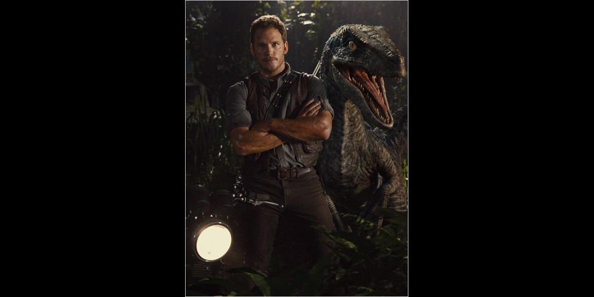 Vedette Raptor Photo : Chris Pratt, vedette de Jurassic World, et un raptor. - Ode ...