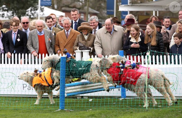 Le prince Charles et Camilla Parker-Bowles ont assisté le 29 mars 2015 lors du Royal Ascot au Lamb National, une fameuse course de moutons !