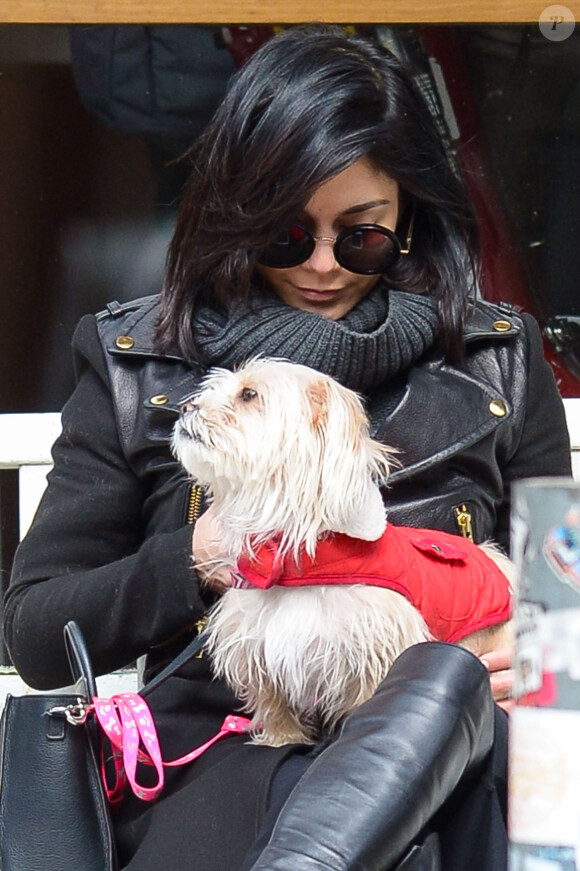 Exclusif - Vanessa Hudgens et sa soeur Stella se baladent avec un petit chien dans les rues de New York, le 15 mars 2015