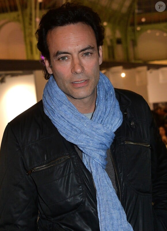 Anthony Delon lors de l'inauguration de l'exposition "Art Paris Art Fair" au Grand Palais à Paris le 26 mars 2014