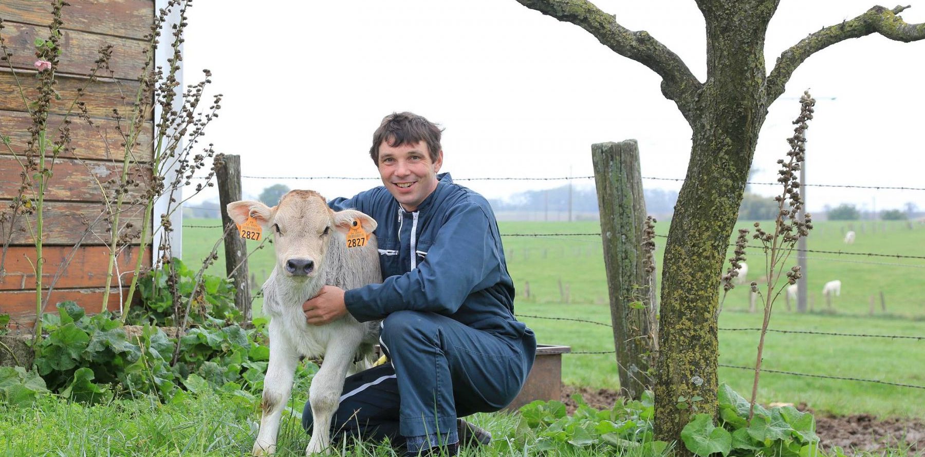 L'amour Est Dans Le Pré Pays Basque