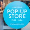 Ouverture de la boutique ephemere de gadgets erotiques AMORELIE chez Zmirov a Paris, France le 11 Juin 2015. Le Pop Up Store sera ouvert du 11 au 13 juin. 