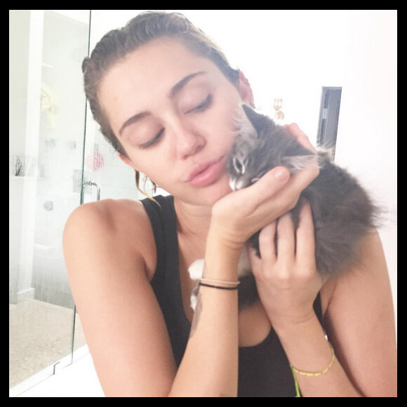 Miley Cyrus a adopté un nouveau chaton / Juillet 2015