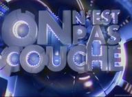 On n'est pas couché, TPMP, Salut les Terriens... Combien coûtent les talk-show ?
