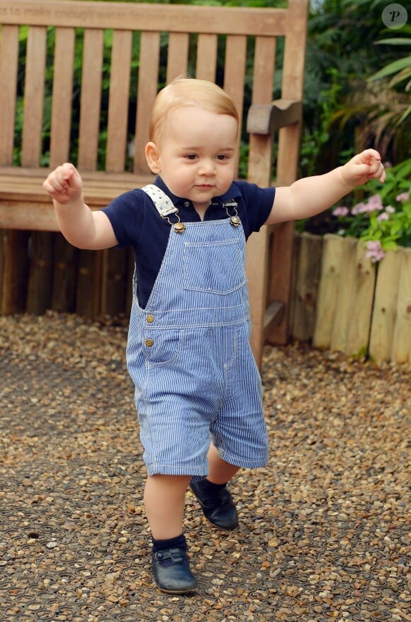Le prince George de Cambridge en juillet 2014 dans l'une des trois photos officielles de son premier anniversaire.