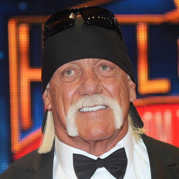 Hulk Hogan à San Jose, le 28 mars 2015. 