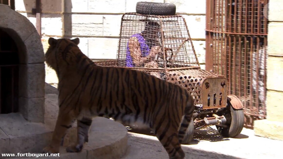 Tony Parker dans la cour des tigres, dans l'émission Fort Boyard diffusée le samedi 25 juillet 2015.