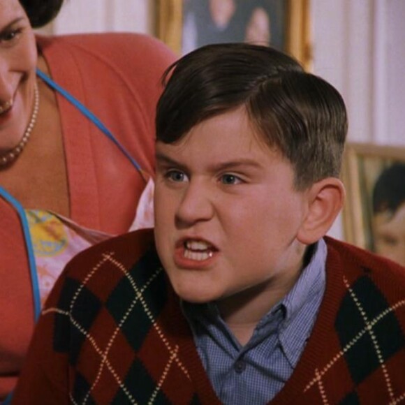 Dudley, le fils de La famille Dursley dans la saga Harry Potter.