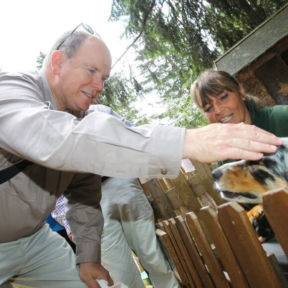 Exclusif - Le prince Albert II de Monaco visitait en compagnie d'Eric Ciotti le 5 août 2015 le Parc Alpha, au Boréon à Saint-Martin-Vésubie (Alpes-Maritimes), où vivent 22 loups du Mercantour en trois meutes. Précédemment, le souverain monégasque, fervent défenseur de l'environnement, était allé observer dans les environs de Saint-Etienne du Tinée le gypaéton Aunos.