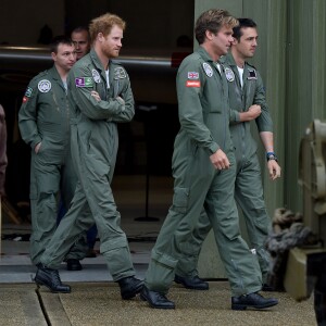 Le prince Harry a assisté le 15 septembre 2015, jour de ses 31 ans, à une parade aérienne commémorant les 75 ans de la Bataille d'Angleterre, à l'aérodrome de Goodwood dans le Sussex. Il devait à l'origine monter à bord d'un Spitfire, mais a renoncé en raison d'un problème mécanique d'un des appareils, préférent laisser la place au vétéran Tom Neil et à des blessés de guerre.