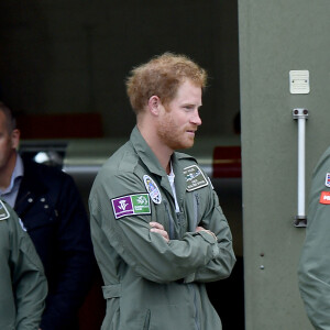 Le prince Harry a assisté le 15 septembre 2015, jour de ses 31 ans, à une parade aérienne commémorant les 75 ans de la Bataille d'Angleterre, à l'aérodrome de Goodwood dans le Sussex. Il devait à l'origine monter à bord d'un Spitfire, mais a renoncé en raison d'un problème mécanique d'un des appareils, préférent laisser la place au vétéran Tom Neil et à des blessés de guerre.