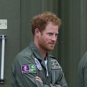 Le prince Harry a assisté le 15 septembre 2015, jour de ses 31 ans, à une parade aérienne commémorant les 75 ans de la Bataille d'Angleterre, à l'aérodrome de Goodwood dans le Sussex. Il devait à l'origine monter à bord d'un Spitfire, mais a renoncé en raison d'un problème mécanique d'un des appareils, préférent laisser la place au vétéran Tom Neil et à des blessés de guerre.