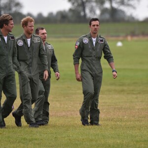 Le prince Harry a assisté le 15 septembre 2015, jour de ses 31 ans, à une parade aérienne commémorant les 75 ans de la Bataille d'Angleterre, à l'aérodrome de Goodwood dans le Sussex. Il devait à l'origine monter à bord d'un Spitfire, mais a renoncé en raison d'un problème mécanique d'un des appareils, préférent laisser la place au vétéran Tom Neil et à des blessés de guerre.